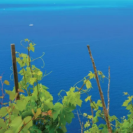 1 Bedroom Stunning In Διαμέρισμα *