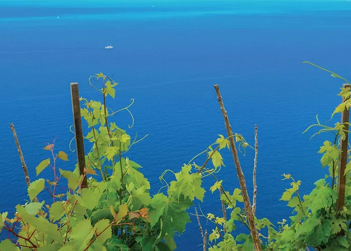 1 Bedroom Stunning In Apartament *