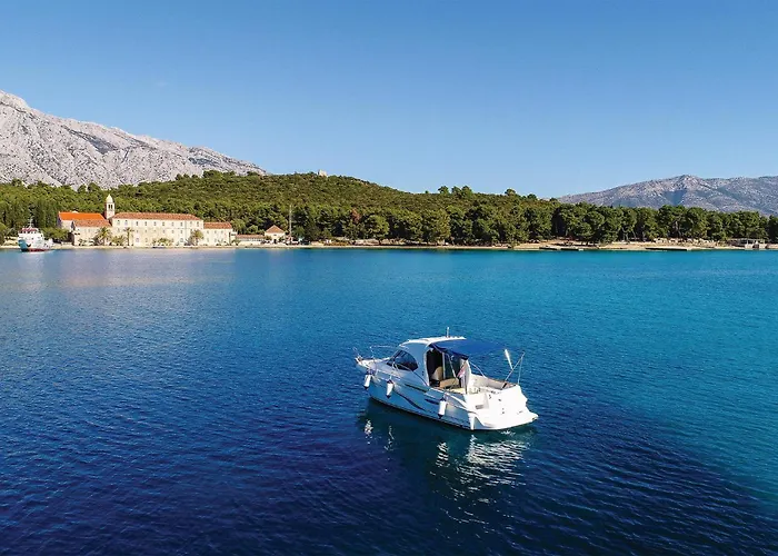 Apartament 1 Bedroom Stunning In *