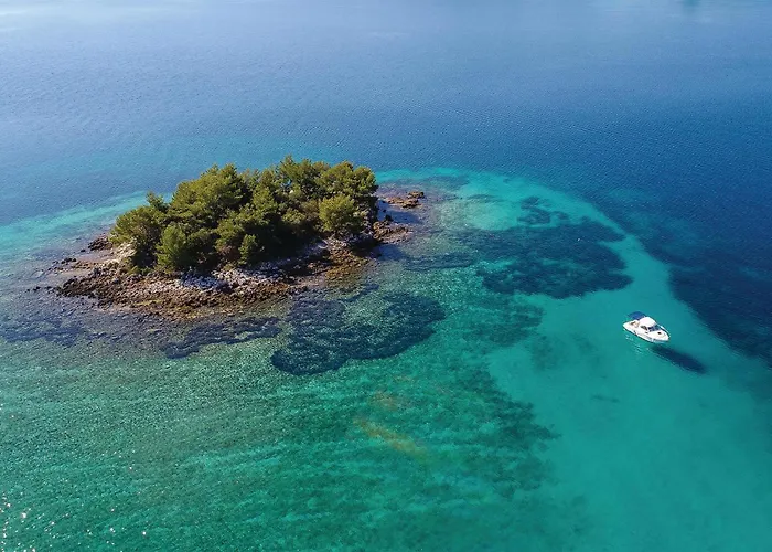 Apartament 1 Bedroom Stunning In *